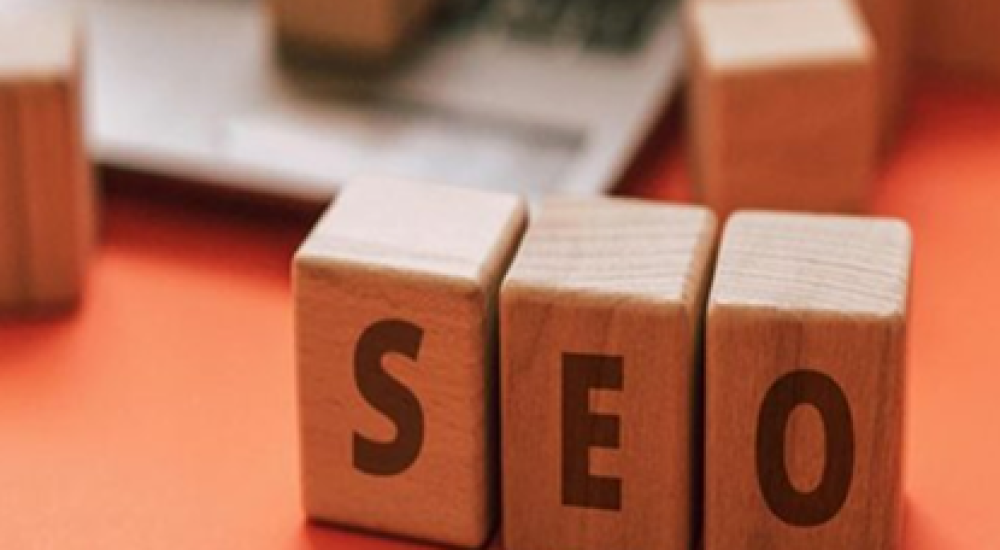 SEO maximize local business